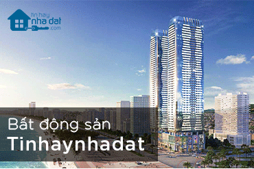 Trang tin tổng hợp về thị trường bất động sản, thông tin giao dịch - môi giới bất động sản